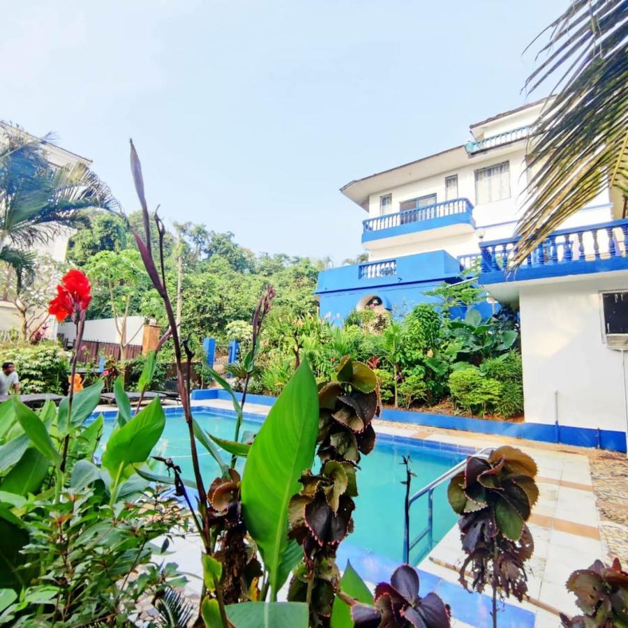 Amazing Hilltop 4 Bhk Villa With Private Pool Near Candolim Eksteriør billede
