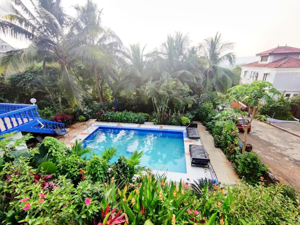 Amazing Hilltop 4 Bhk Villa With Private Pool Near Candolim Eksteriør billede